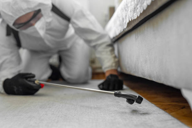 Professional Bed Bug Control technician working in Sansom Park, TX